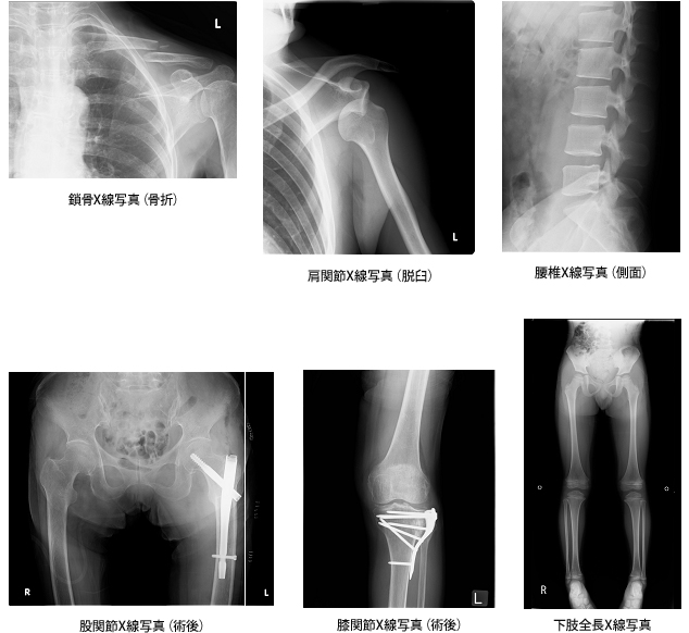 第6撮影室写真