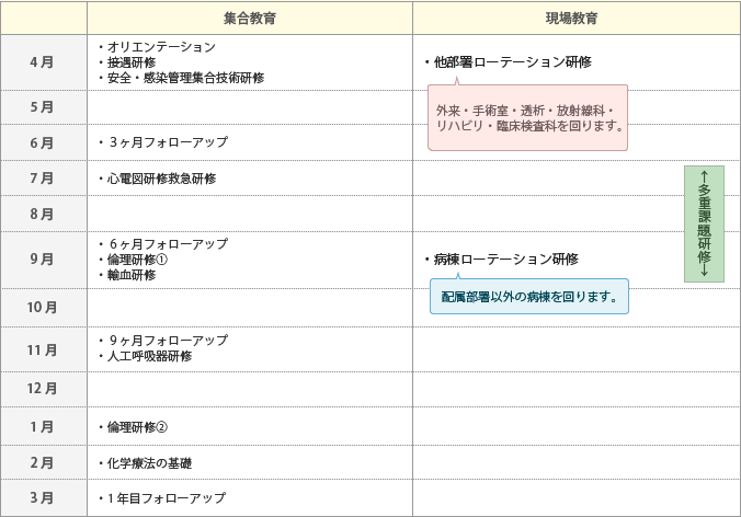 新人看護師の一年間